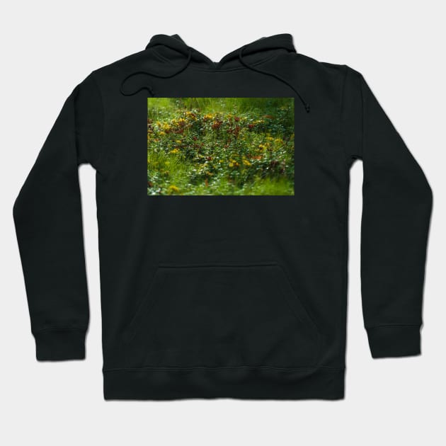 Luscious Morning Dew On Green Grass Hoodie by textural